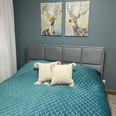 Apartament Sosnowy Zakatek Γκλίβιτσε Εξωτερικό φωτογραφία