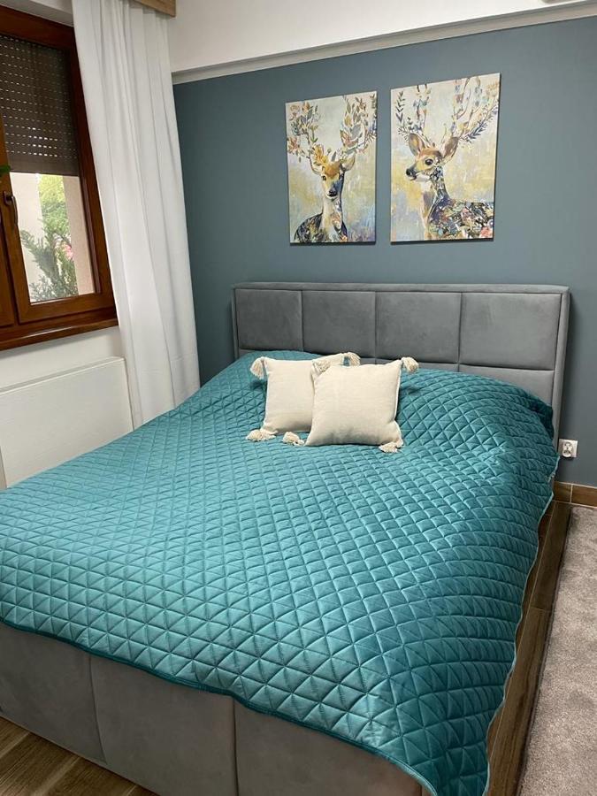 Apartament Sosnowy Zakatek Γκλίβιτσε Εξωτερικό φωτογραφία