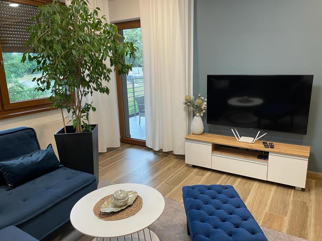 Apartament Sosnowy Zakatek Γκλίβιτσε Εξωτερικό φωτογραφία