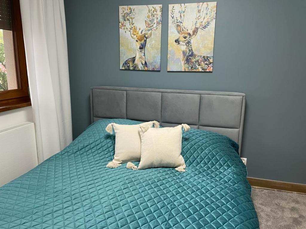 Apartament Sosnowy Zakatek Γκλίβιτσε Εξωτερικό φωτογραφία