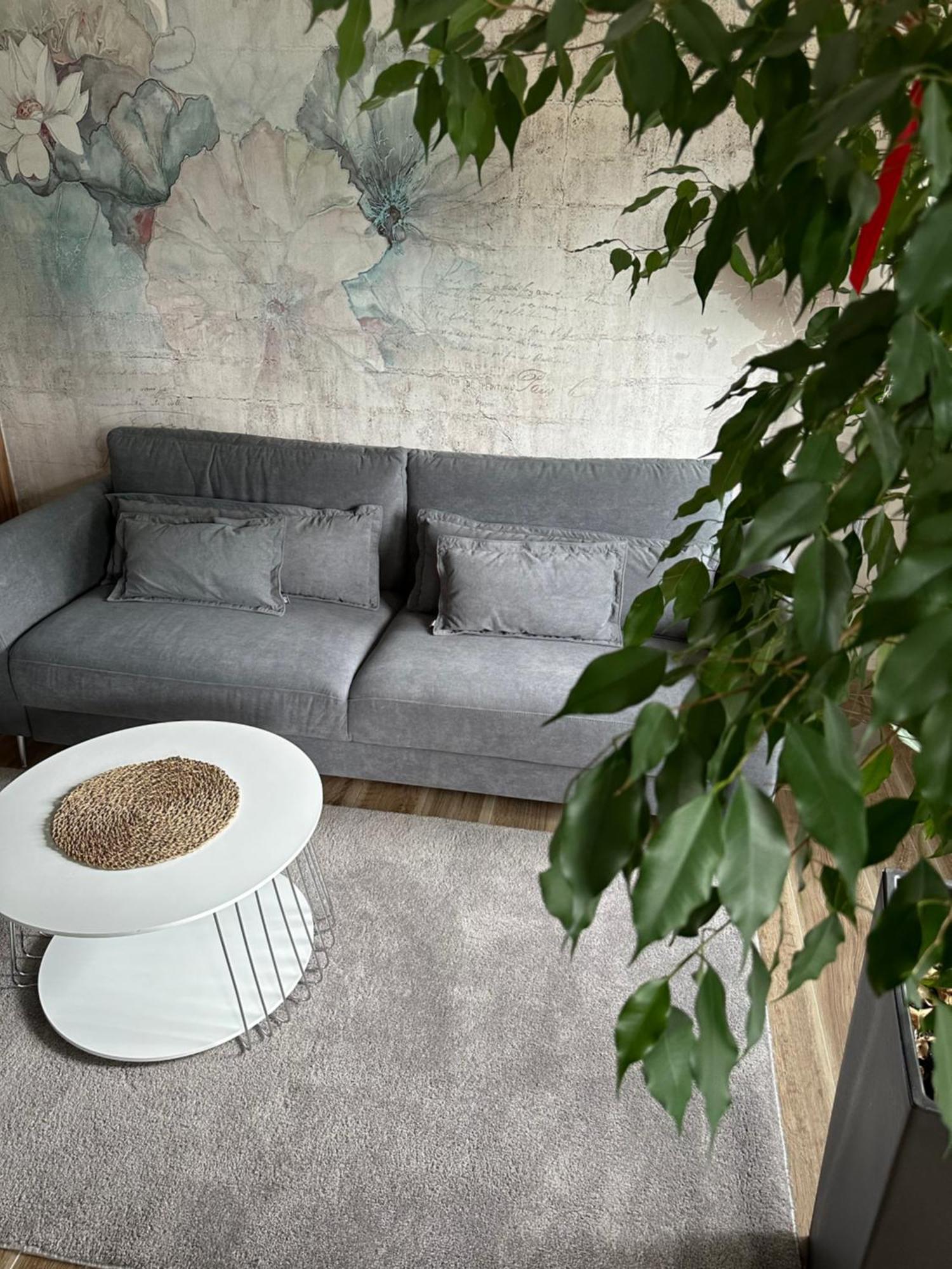 Apartament Sosnowy Zakatek Γκλίβιτσε Εξωτερικό φωτογραφία